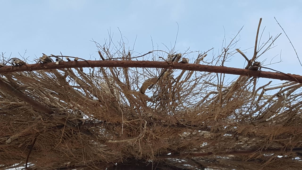 Marode Hotel Riu Touareg