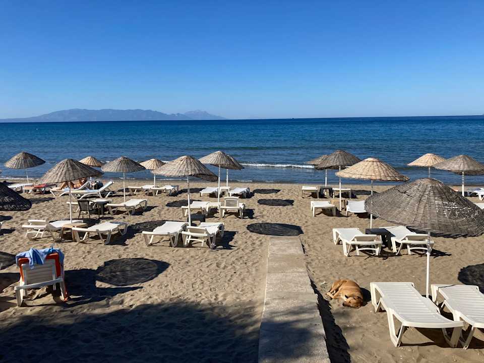 Strand Dogan Paradise Beach