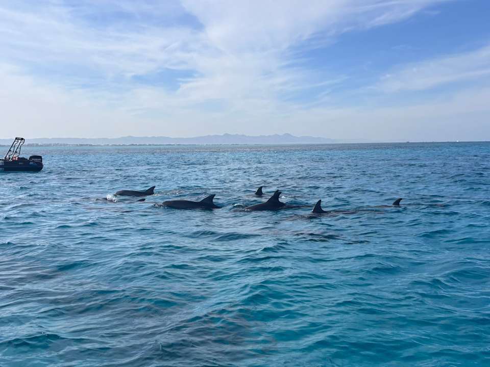 Ausblick Three Corners Rihana Resort Deluxe