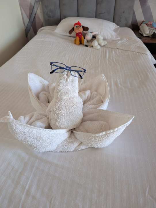 Zimmer Three Corners Sea Beach Resort