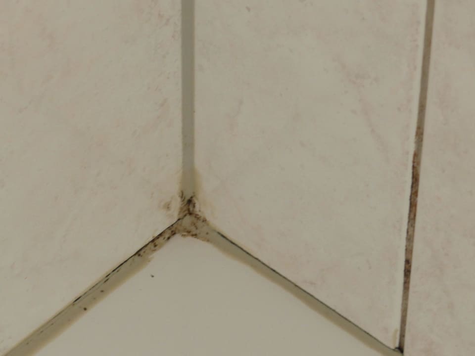 Schmutz/Schimmel in der Dusche Hotel & Apart Central