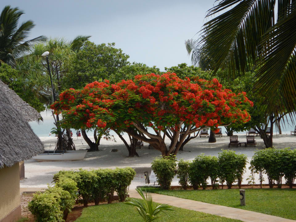 Strand Neptune Pwani Beach Resort & Spa