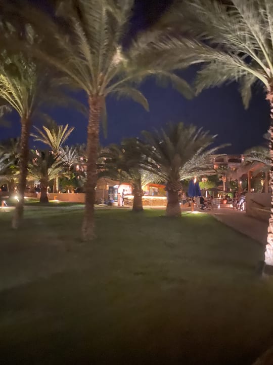 Gartenanlage Fort Arabesque Resort, Spa & Villas