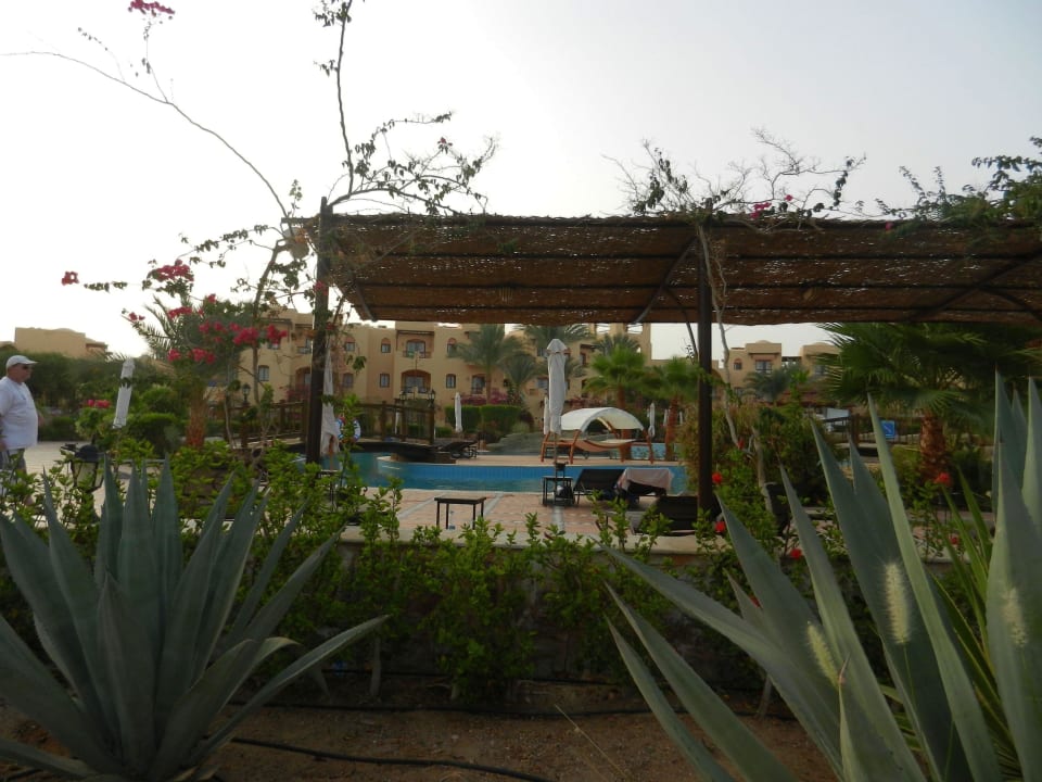 Pool Steigenberger Coraya Beach - Adults only