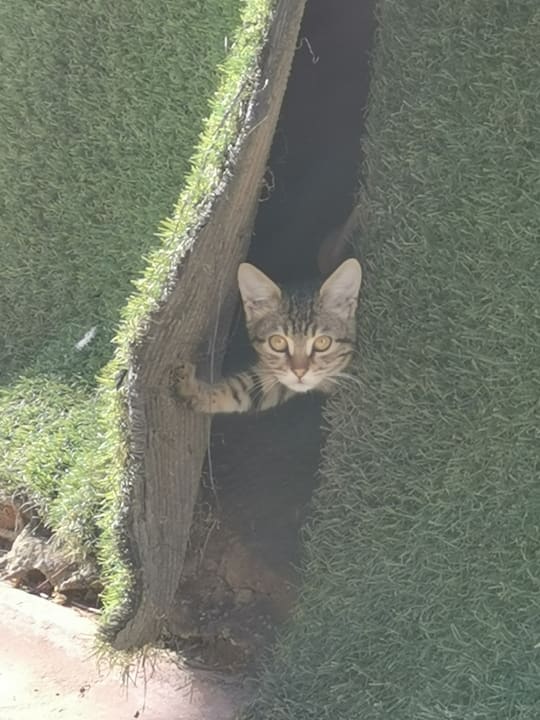 Sonstiges Hotel Delphin Imperial