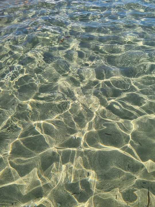 Strand allsun Hotel Carolina Mare