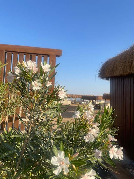 Gartenanlage Steigenberger Resort Ras Soma