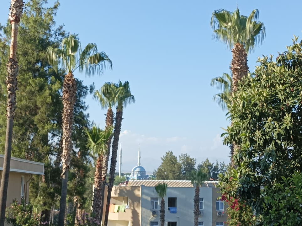 Ausblick Club Sidelya Hotel