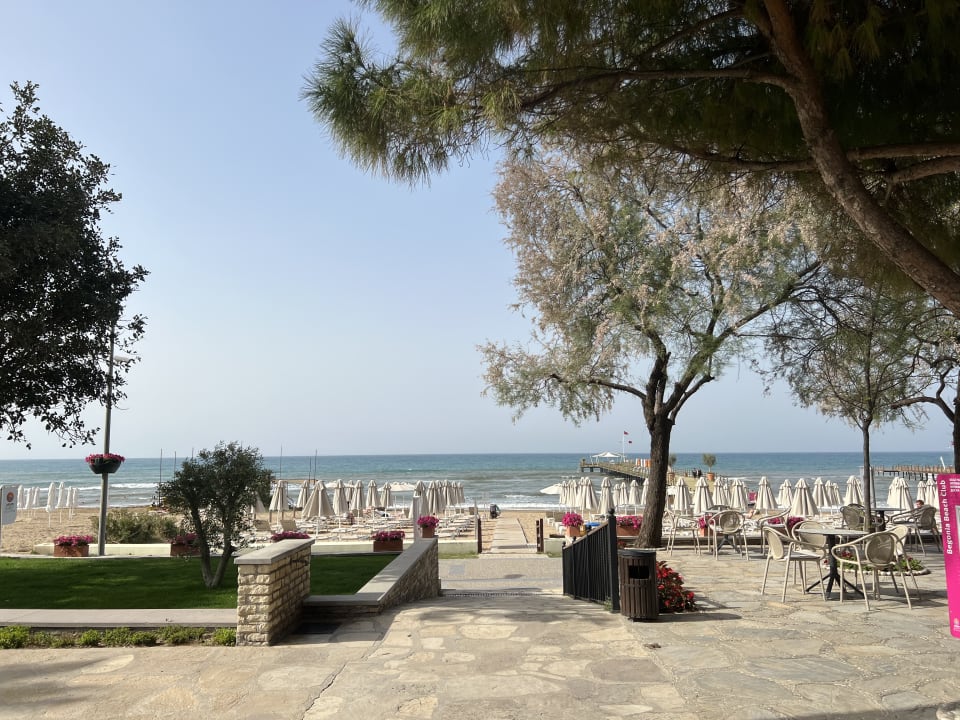 Strand Arum Barut Collection