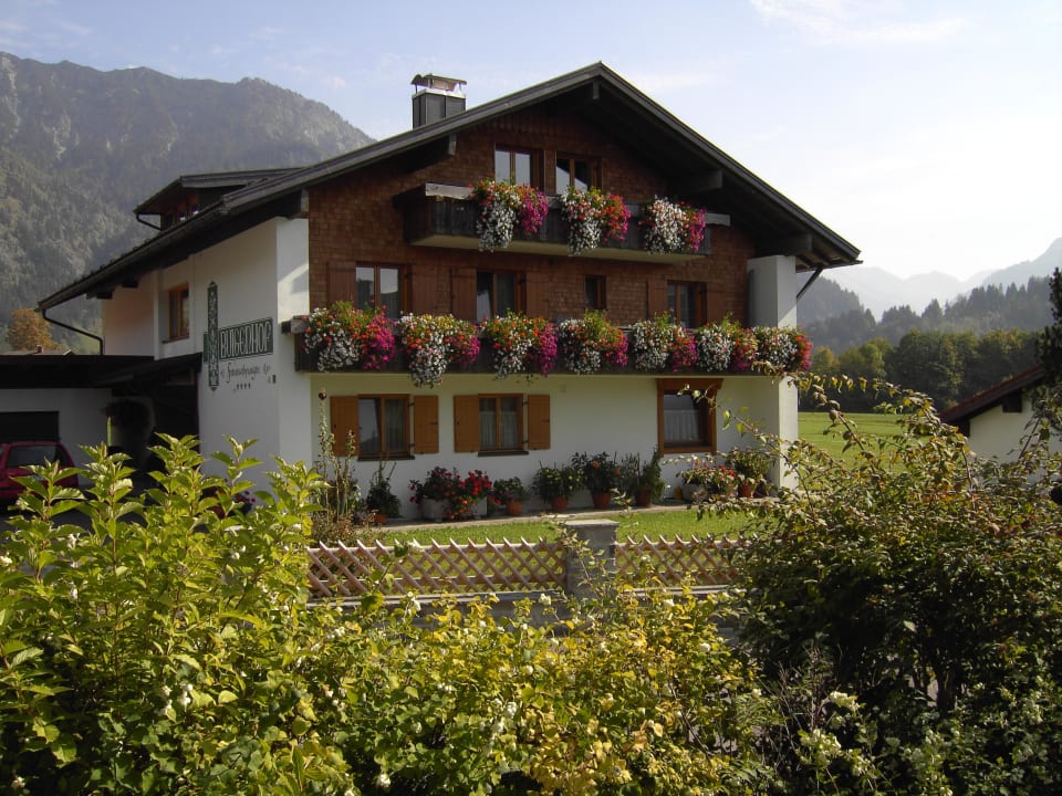 Buigenhof-Westseite Gästehaus Buigenhof
