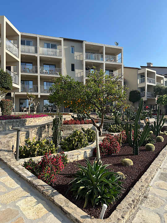 Gartenanlage Arum Barut Collection