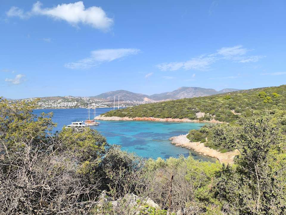 Sonstiges Paloma Family Club