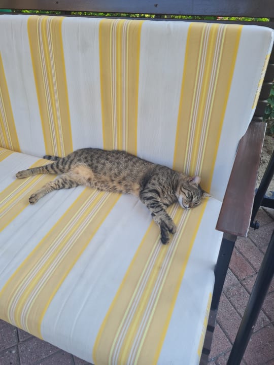 Sonstiges VONRESORT Golden Beach