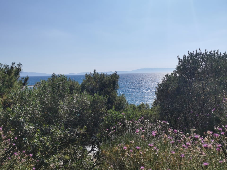 Ausblick Hotel Pine Bay Holiday Resort