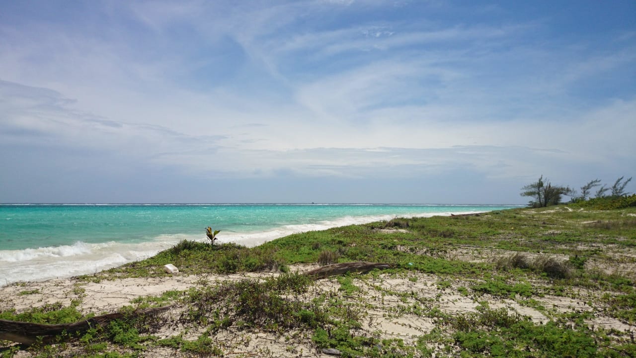 Strandspaziergang Catalonia Playa Maroma