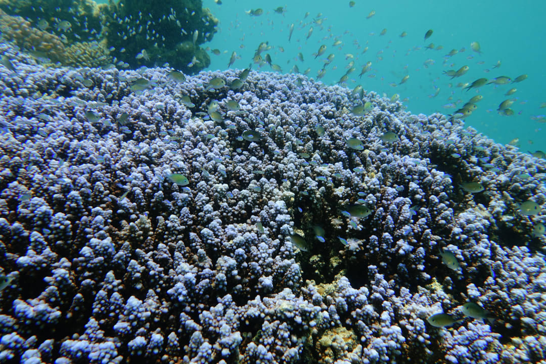 Sport & Freizeit Lahami Bay Beach Resort