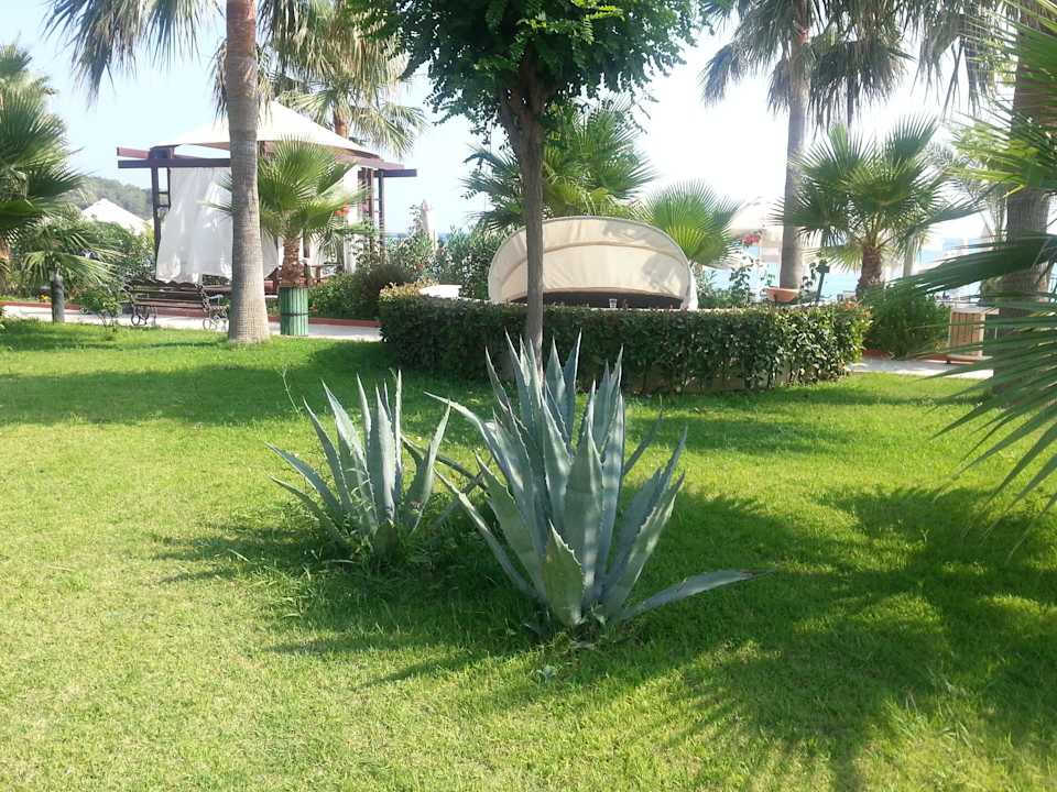 Zahrada Saphir Resort & Spa