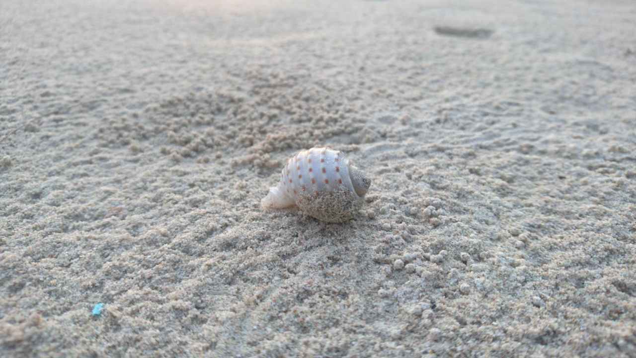 Strand The Grand Southsea Khaolak Beach Resort