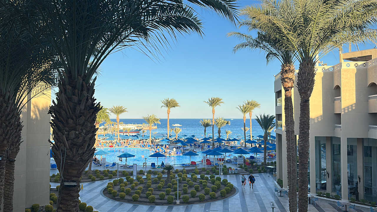 Zimmer Beach Albatros Resort