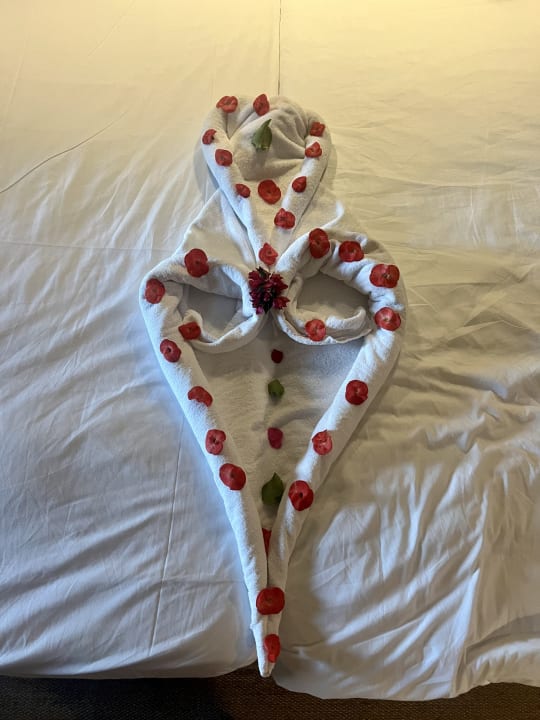 Zimmer Jaz Makadi Oasis Resort