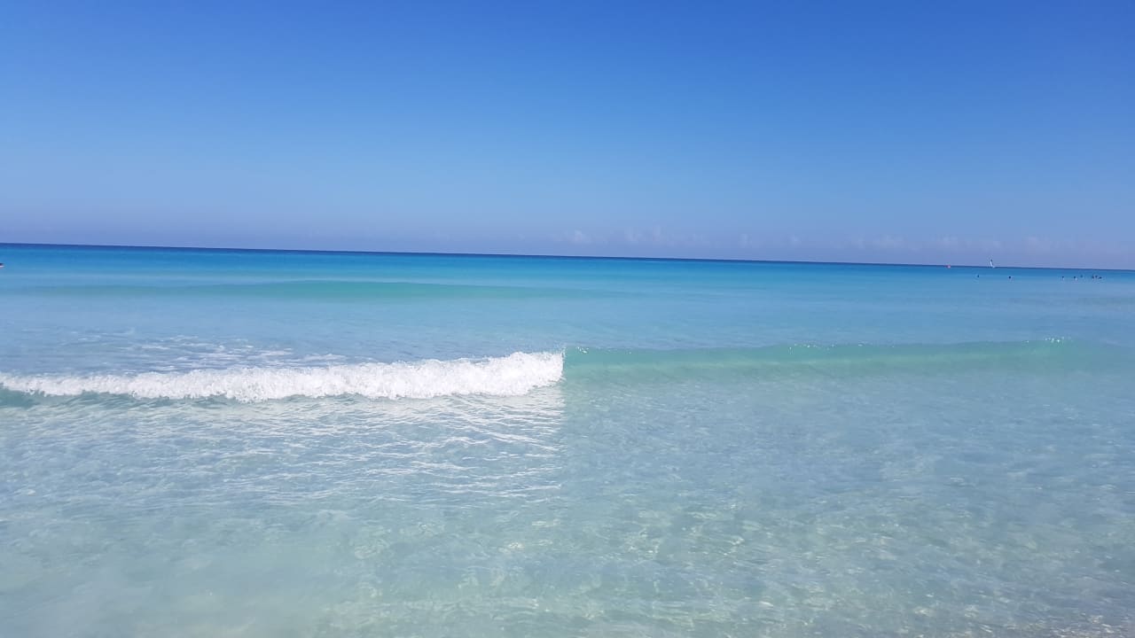 Strand Starfish Cuatro Palmas