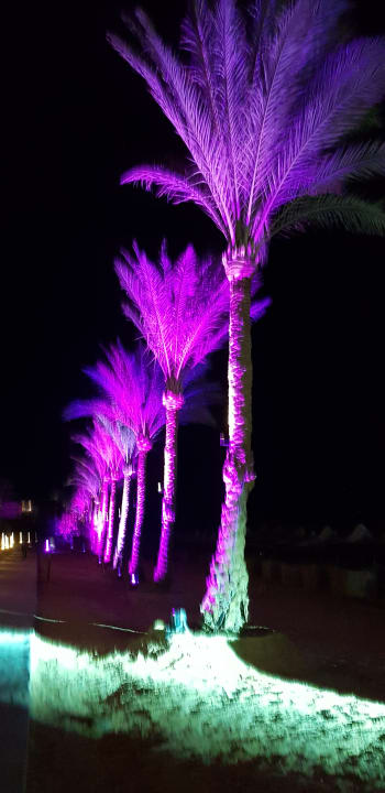 Gartenanlage Steigenberger Coraya Beach - Adults only