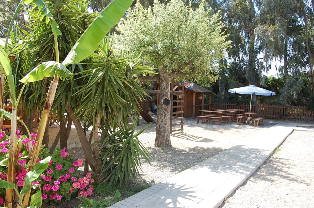 Roślinność Irene Palace Beach Resort Club alltoura