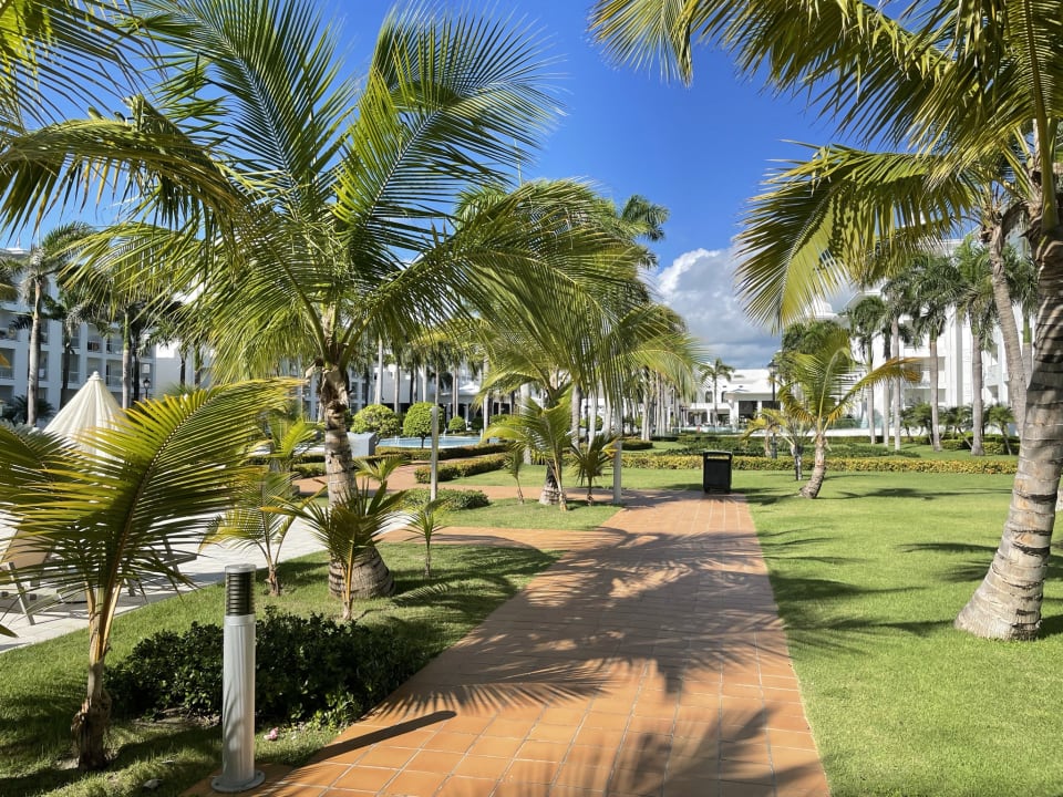 Gartenanlage Hotel Riu Palace Punta Cana