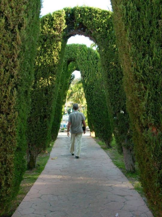 Gartenanlage allsun Hotel Esplendido