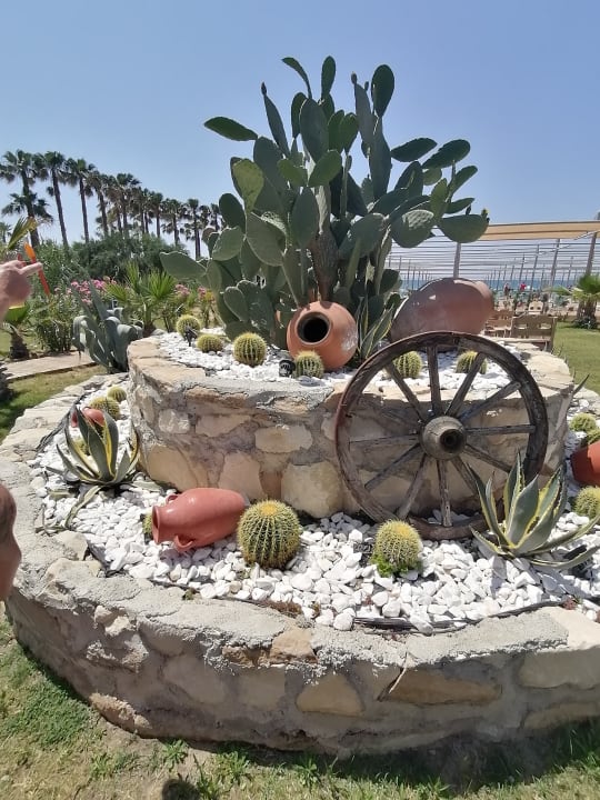 Gartenanlage Dream World Palace Hotel