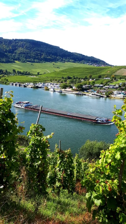 Ausblick Hotel zur Moselbrücke