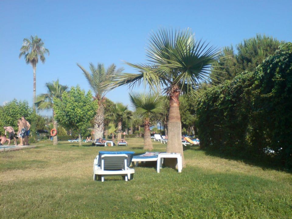 Am Pool Club Turtas Beach Hotel