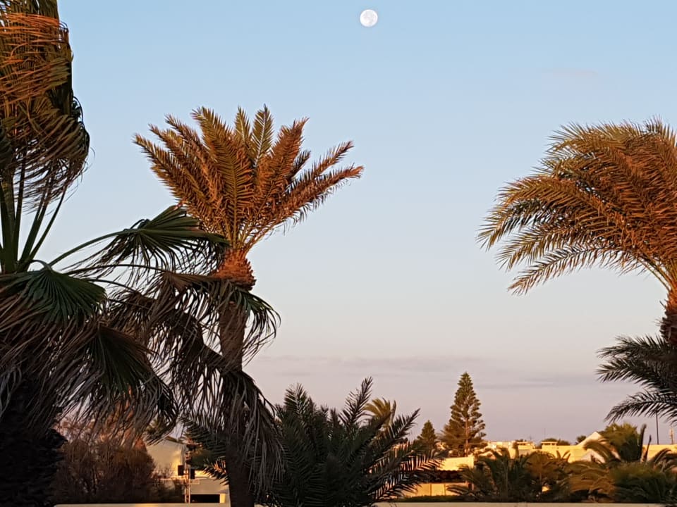 Gartenanlage Aldiana Club Djerba Atlantide