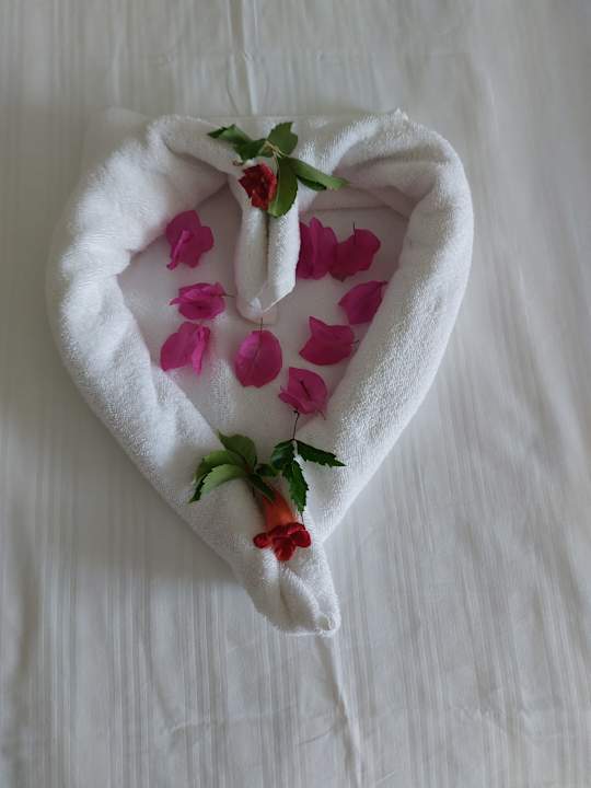 Zimmer TUI BLUE Xanthe