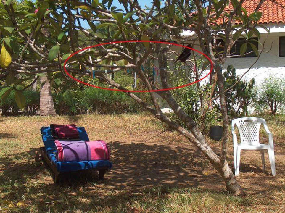 Schrebergartenkolonie mit Wäscheseil Diani Sea Resort