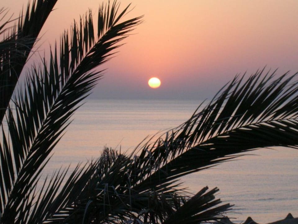 Sonnenaufgang  Three Corners Sea Beach Resort