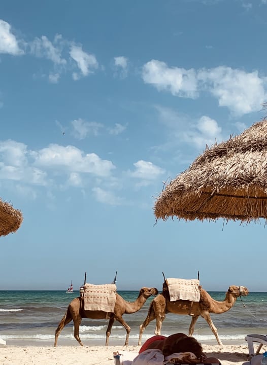 Strand ROBINSON DJERBA BAHIYA