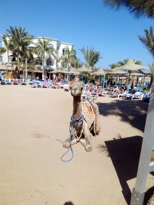 Sonstiges Bella Vista Resort Hurghada