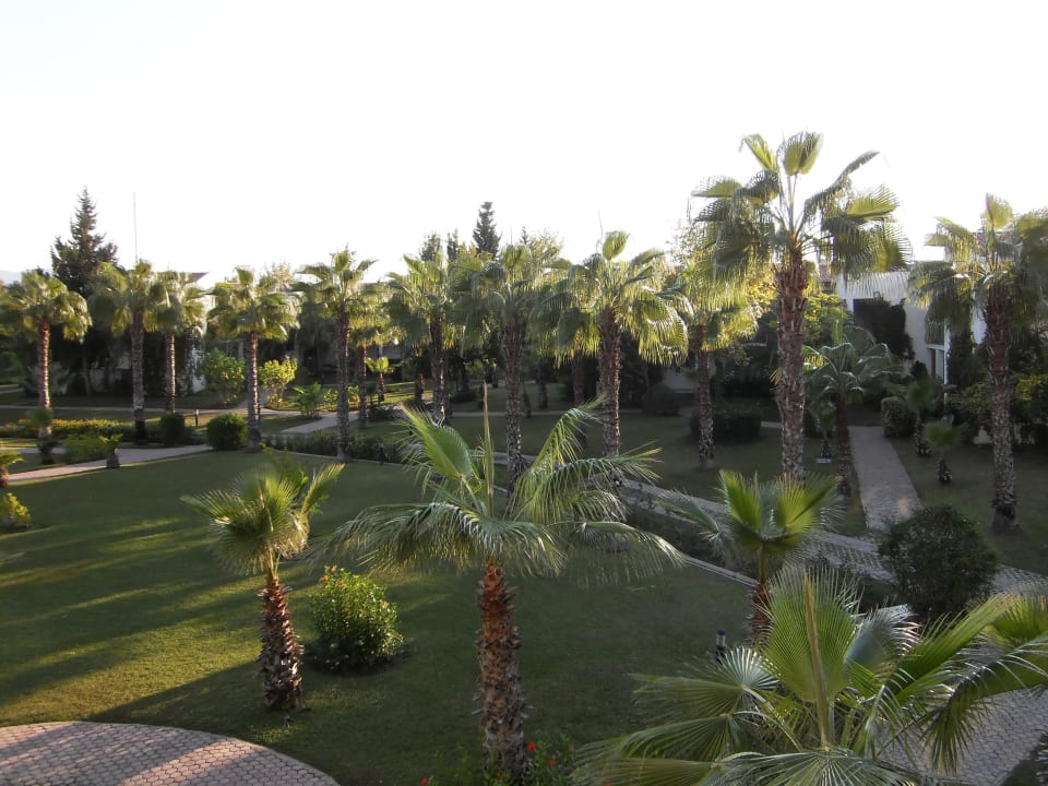 Blick aus dem Fenster  Club Tuana Fethiye