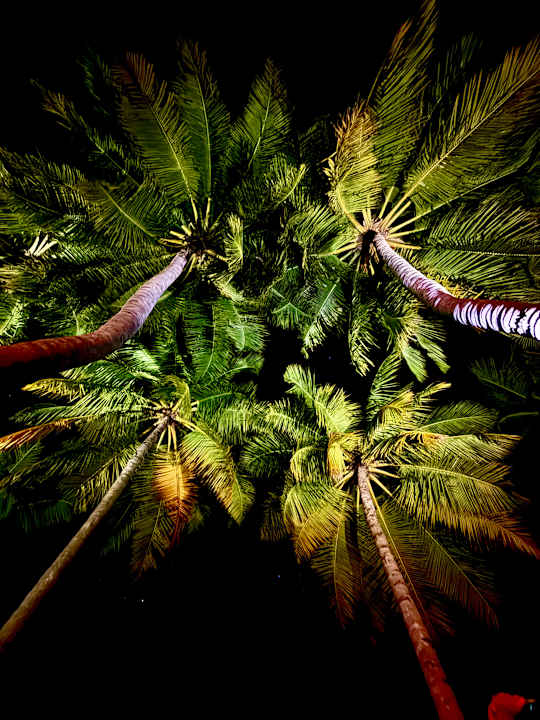 Gartenanlage Fiyavalhu Resort Maldives