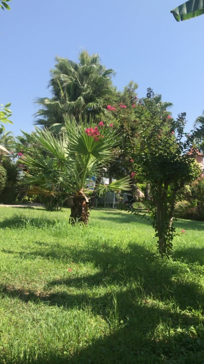 Gartenanlage Bella Resort & Spa