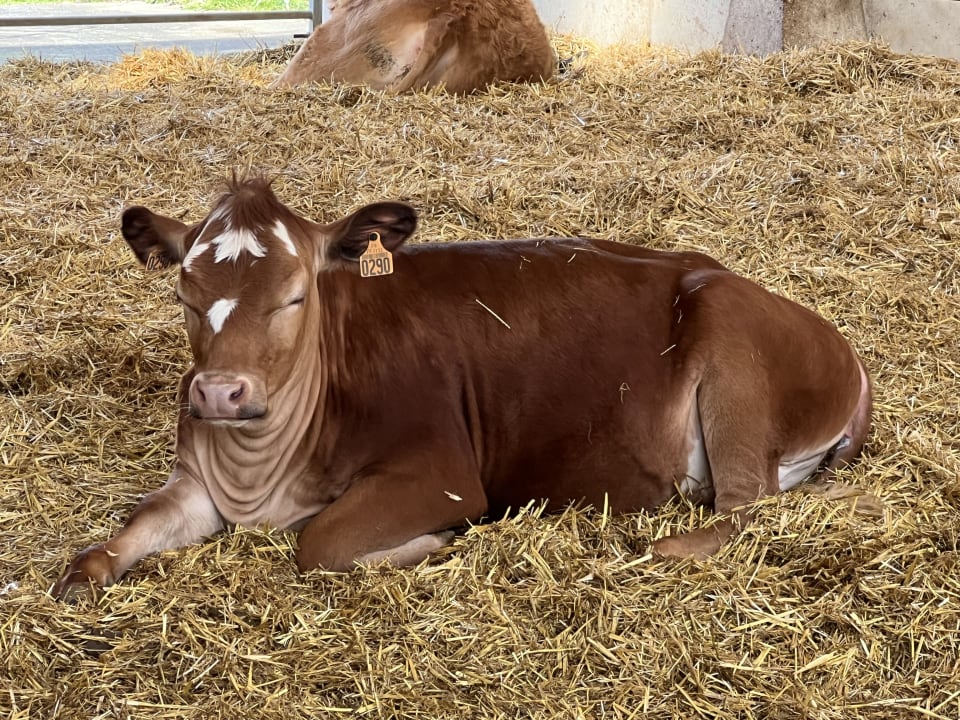 Sport & Freizeit Villages Nature Paris