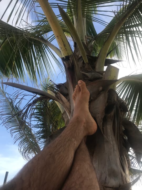 Ausblick Hotel Riu Touareg