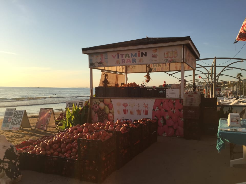Strand Trendy Palm Beach (Adults Only, 16+)