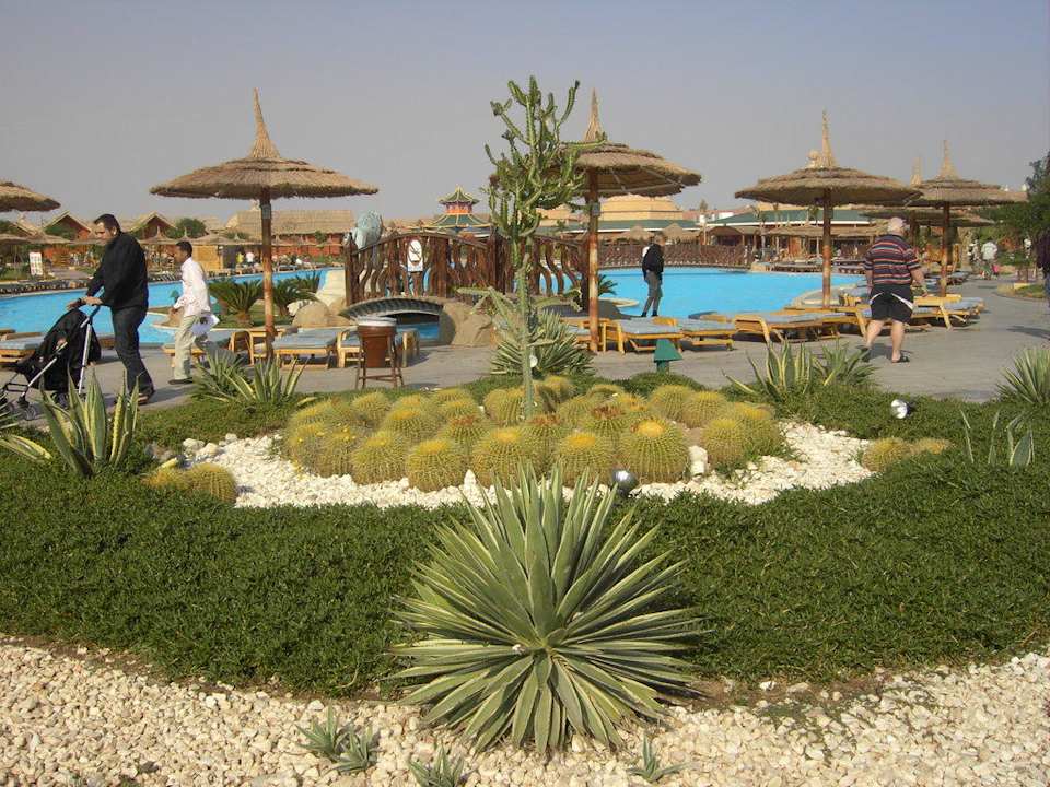 Gartenbepflanzung Pickalbatros Jungle Aqua Park Resort - Neverland Hurghada