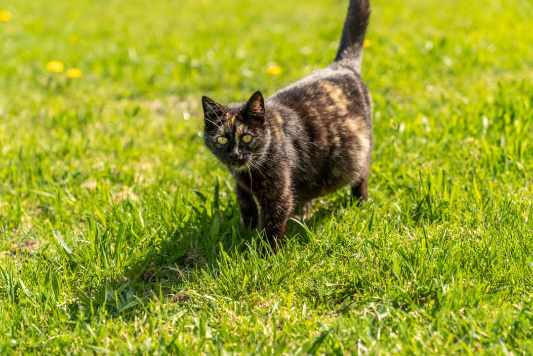 Sonstiges Hotel Starchlhof