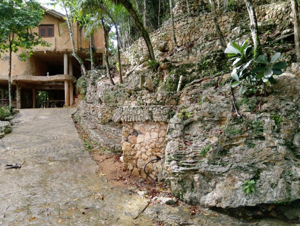 Gartenanlage B&B Paraiso Caño Hondo