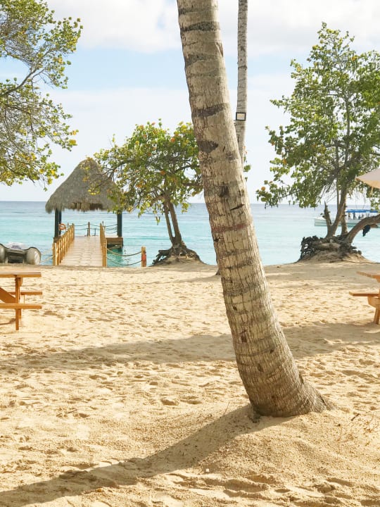 Strand Dreams Dominicus La Romana