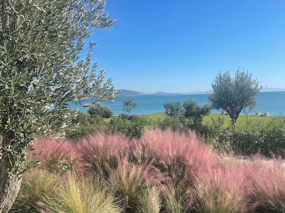 Gartenanlage Anda Barut Collection