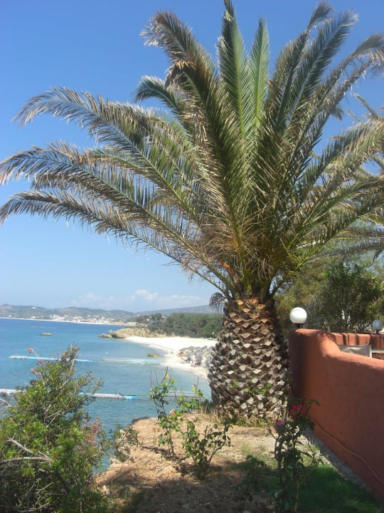 Blick von Pool Alexandra Beach Thassos Spa Resort